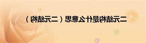 二元意思