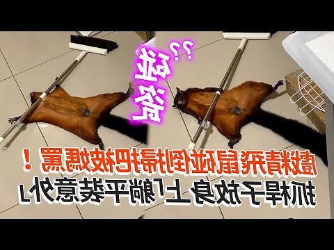掃把倒著放
