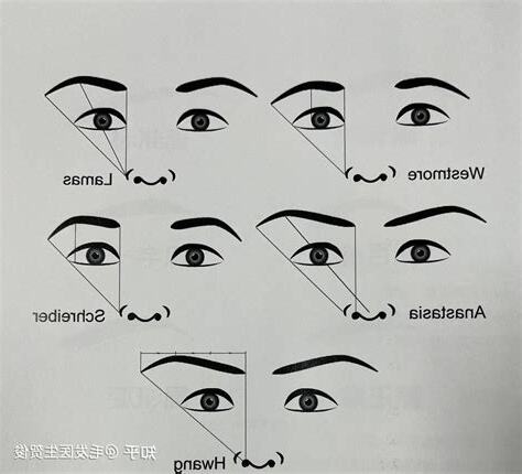 眉尾向下