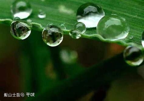 癸未日