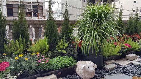 庭園景觀植物