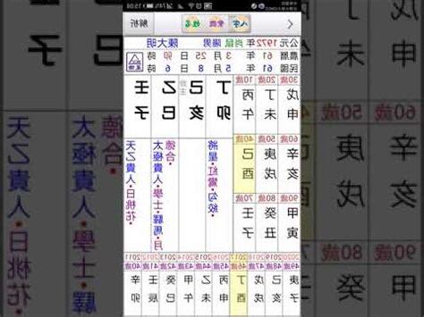 星僑命盤