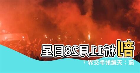 11月28星座