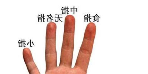 中指代表自己