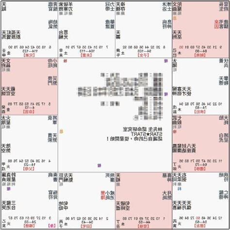武曲坐命長相