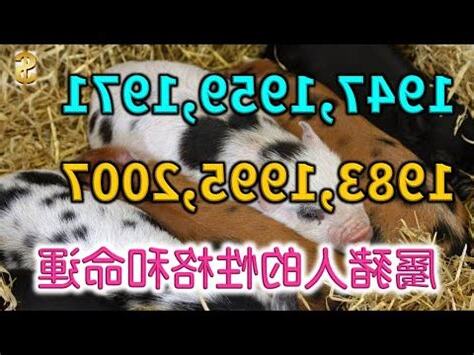95屬什麼