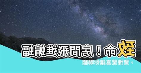 房間飛進蝙蝠