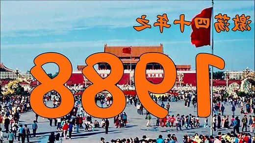 1988年属什么