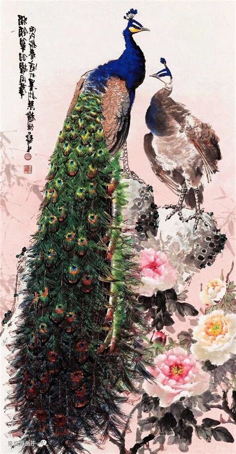 畫孔雀