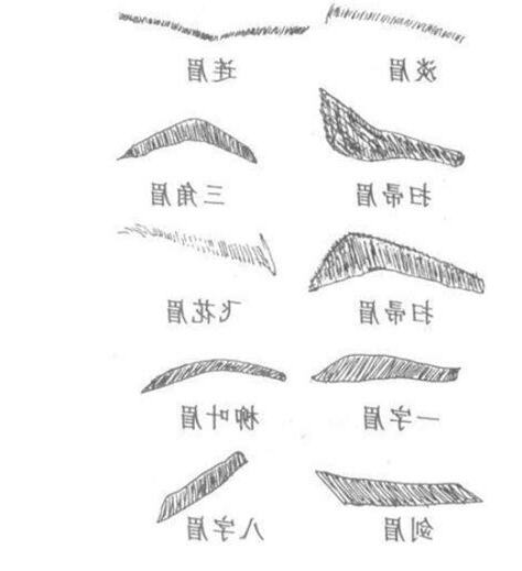 眼眉面相