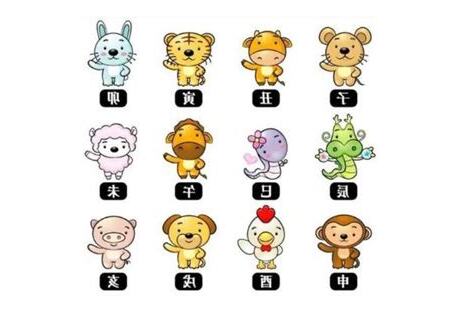 生肖排列