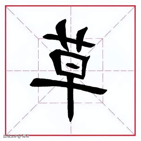 草字旁的名字