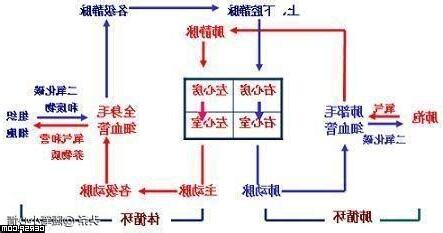血液循環口訣