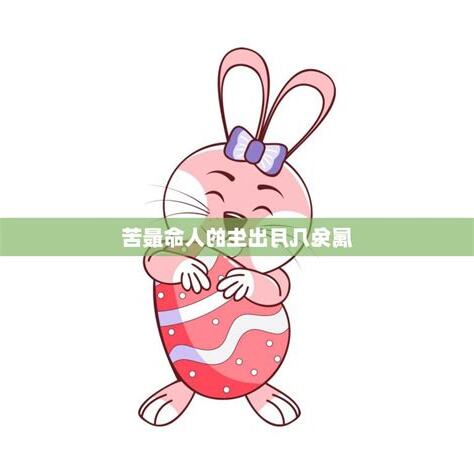 兔年出生的人