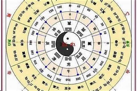 上海五行属什么