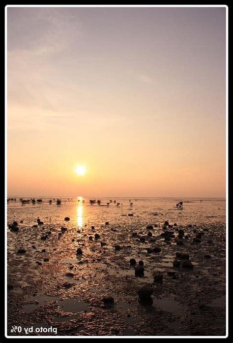 香山夕陽