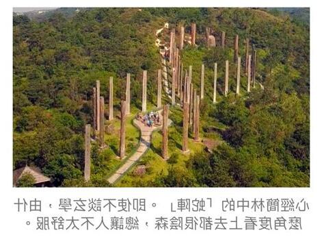 香港毒蛇陣