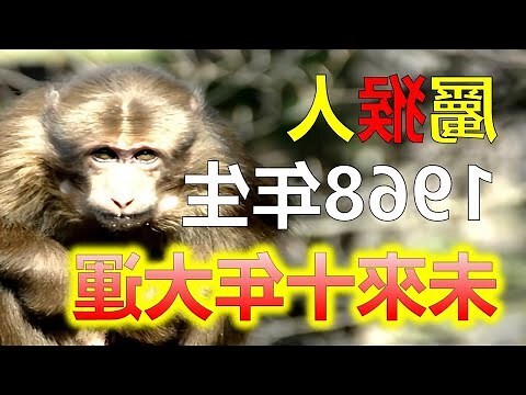屬猴運勢