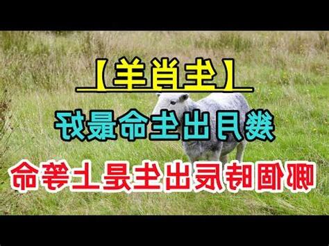 羊年幾歲