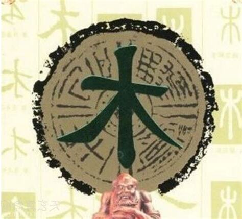 五行木太多