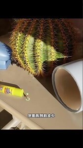 遇到大蜘蛛