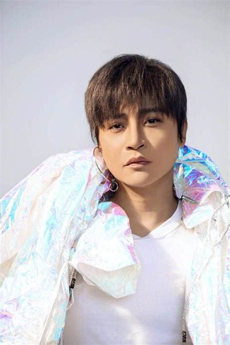順毛髮型意思