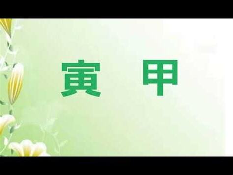 寅代表什麼