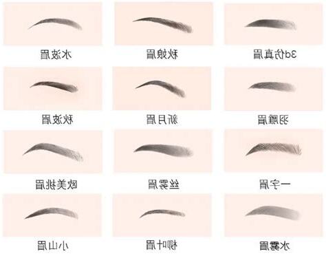 眉型