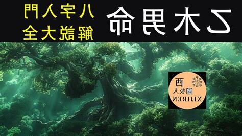 五行乙木