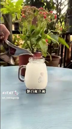 家裡植物枯萎