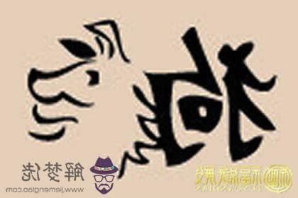 屬狗風水