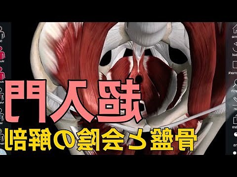 陰唇環
