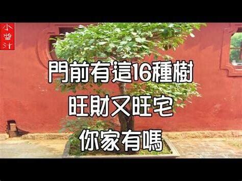 仙桃樹風水