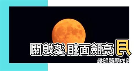 月亮臉面相