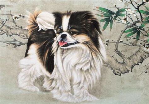 木狗命