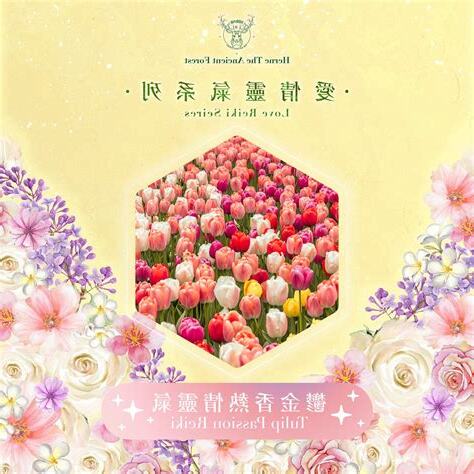 鬱金香熱情靈氣