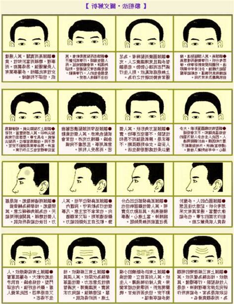 頭圓面相