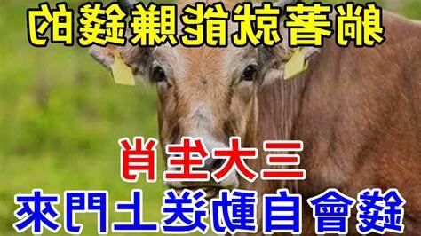 改命機遇