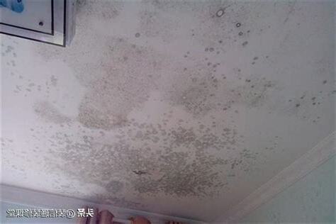 天花板發黴原因