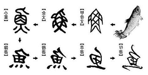 漢字演變查詢