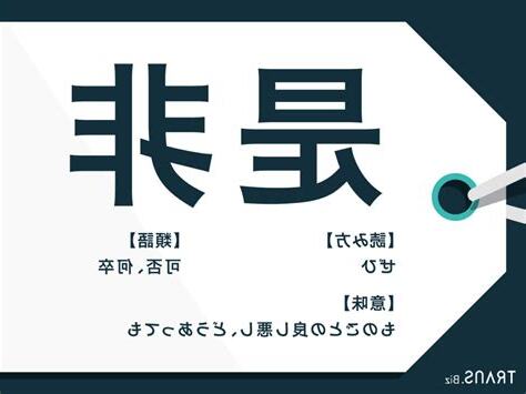 是非意味