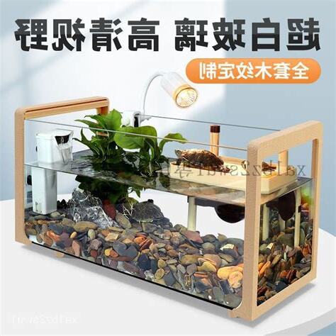 龜缸意思