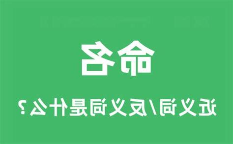 命名的意思