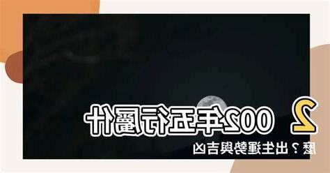 2002年五行