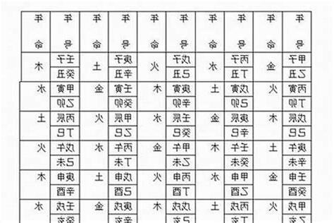 癸巳年五行