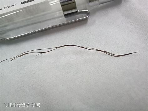 一根毛特別粗