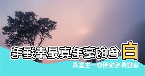 身體長白色長毛