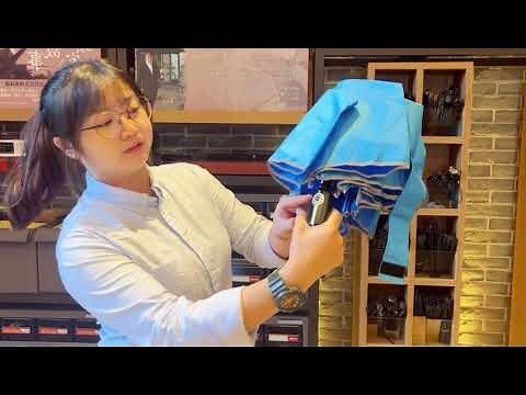 傘的種類