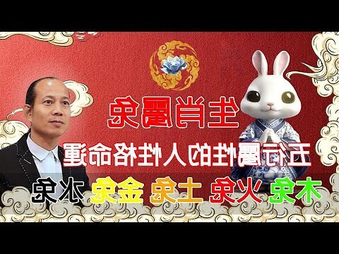 兔子五行属什么