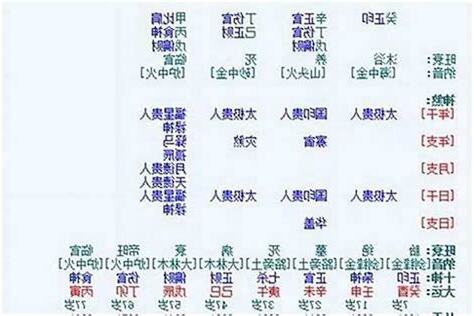 乙未女婚姻